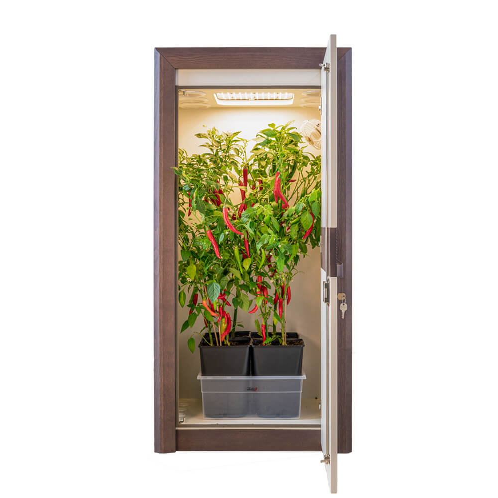 urban Chili - Growbox 3.0 Komplettset mit sparsamem LED-Board (65 x 45 x 133 cm)
